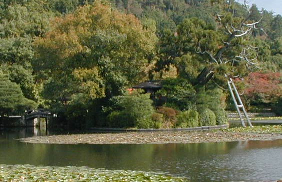 Pond of Ryuan-ji